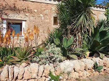 Finca Libertad Mallorca Hotel Campos
